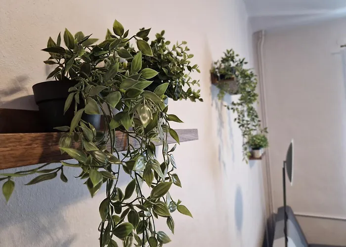 Apartament Mickiewicza Multi House Appartement *